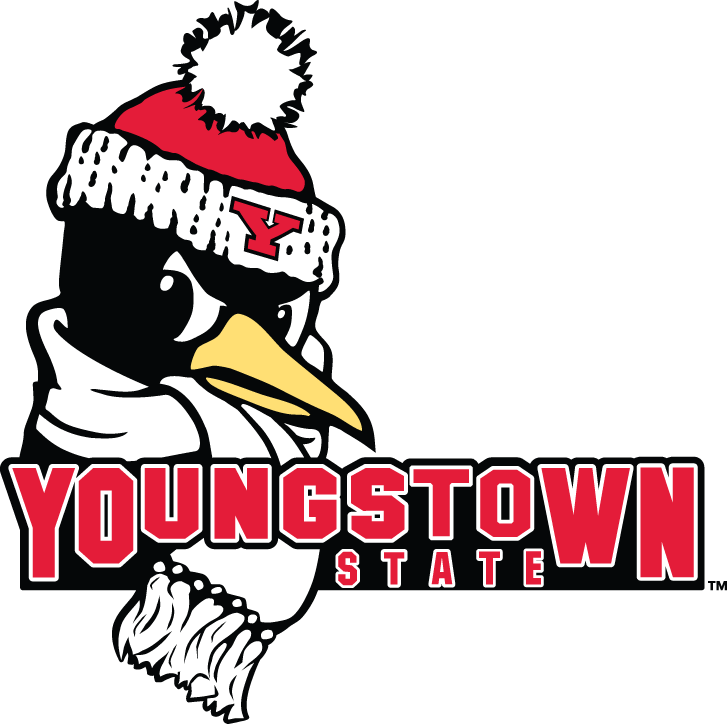 Youngstown State Penguins 2006-Pres Secondary Logo t shirts iron on transfers